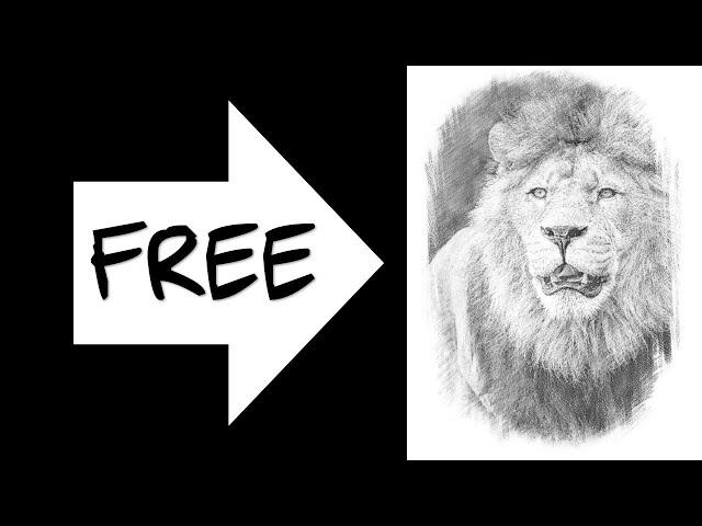 FREE PENCIL SKETCH TOOL: Turn Your Photo Into a Beautiful Drawing!