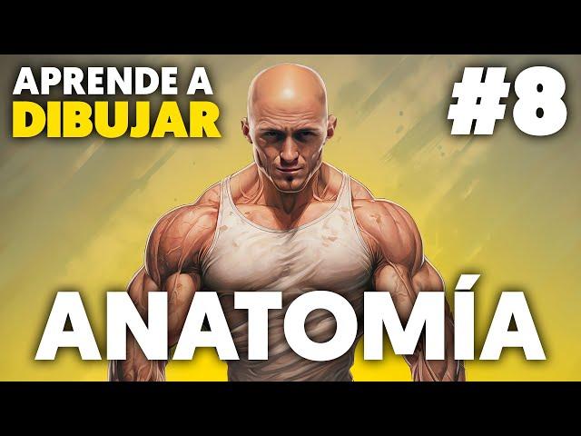 Introducción a la ANATOMÍA para dibujantes 