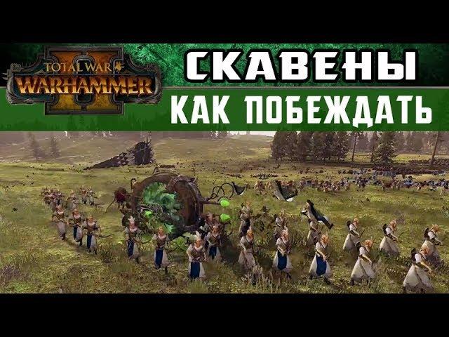  Скавены Как побеждать за них в Total War Warhammer 2  (с переводом на русский)