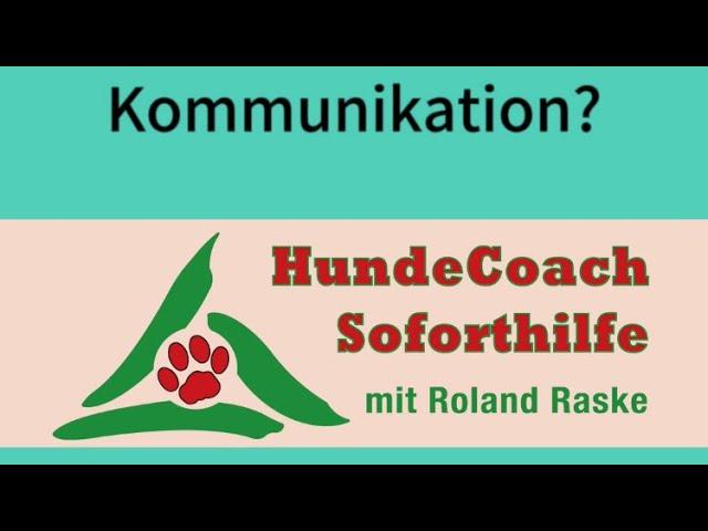 Interview Q&A mit Roland Raske-Wie kann man von der jahrelangen Erfahrung ohne Ersthund profitieren?