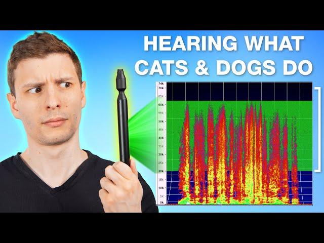 $2500 Ultrasonic Microphone Lets You Hear Like a Cat & Dog