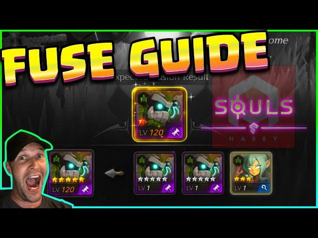 Souls FUSE GUIDE - Why So CONFUSING???