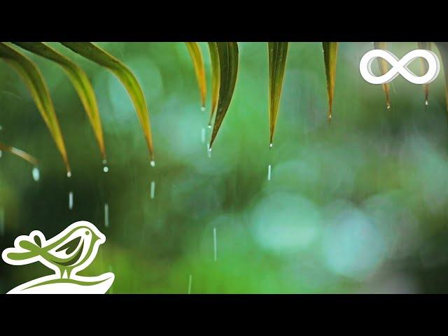 You & Me: Relaxing Piano Music & Soft Rain Sounds For Sleep & Relaxation by Peder B. Helland