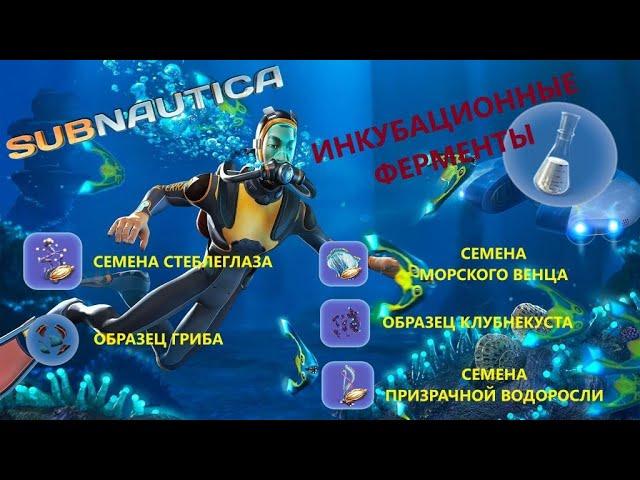 ГДЕ НАЙТИ ВСЕ КОМПОНЕНТЫ ДЛЯ ИНКУБАЦИОННЫХ ФЕРМЕНТОВ??? // SubNautica