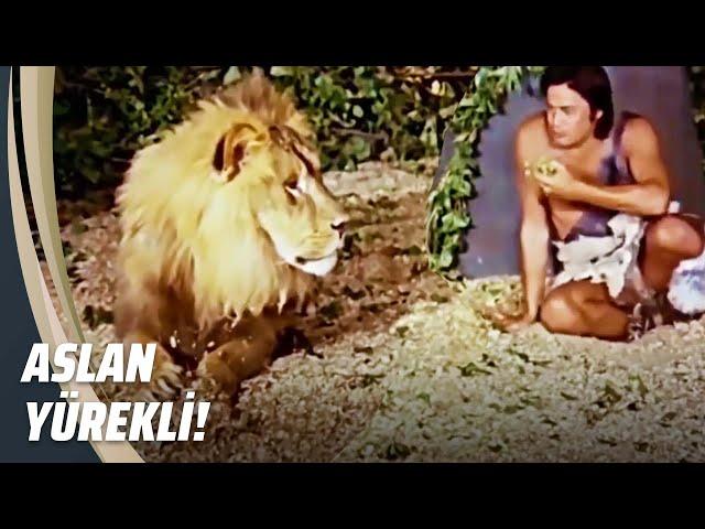 Aslanlarla Birlikte Büyüdü! - Kılıç Aslan