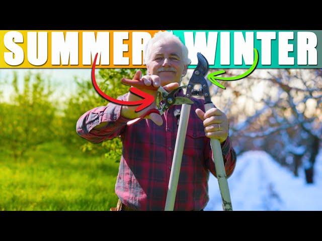 Summer or Winter Pruning THE BEST time to Prune your Fruit Tree is￼...