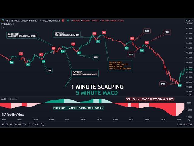 2025 FRESH MACD Buy and Sell 1 minute Scalping | Buy and Sell Indicator