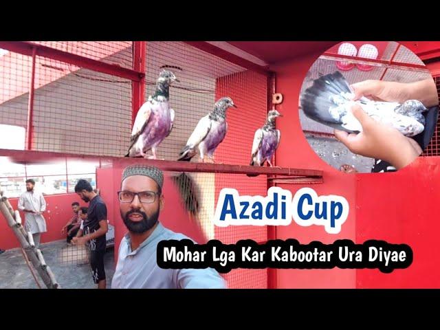 3 Baby Pigeon Wala Cup Uraya | Azadi Cup | Hashim Mahmood Pigeons