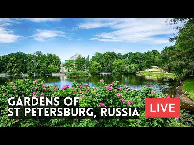 St Petersburg. LIVE: Tauride, Summer and Mikhailovsky Gardens, Field of Mars