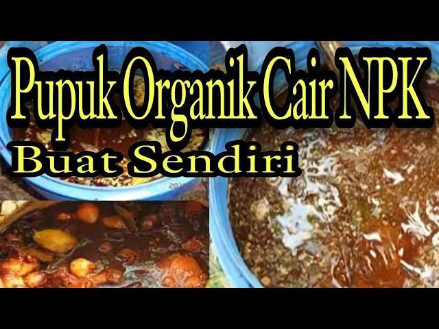 Cara membuat pupuk organik cair terbaik unsur NPK Untuk Cabe dan Melon