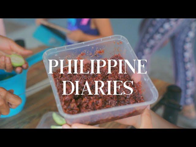 how to make bagoong alamang (shrimp paste) - a Philippine favorite | living alone in La Union