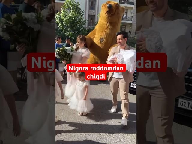 Nigora roddomdan chiqdi #newvideo #shoubiznes #youtube #wedding #roddom #lazizashokuz