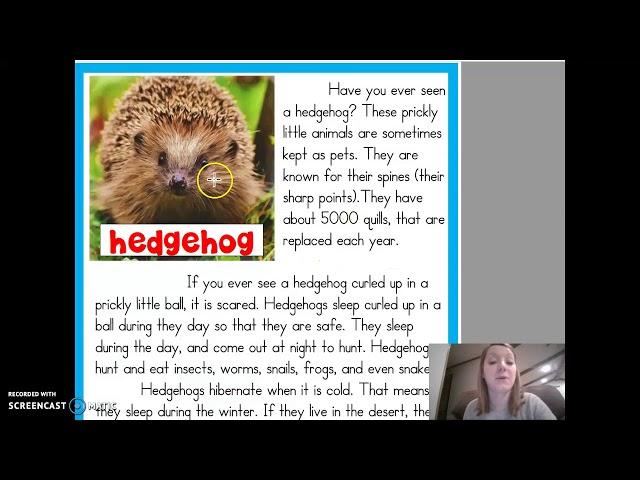 Hedgehog Info