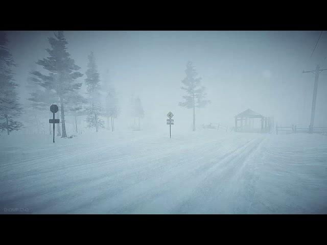 8 Hours Blizzard Sounds & Howling wind | Winter Storm Sounds | Heavy Snowstorm