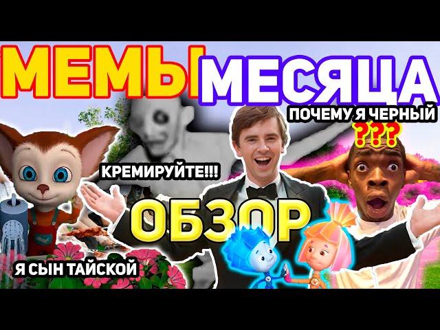 Мемы Месяца. Обзор лучших Мемов Весны