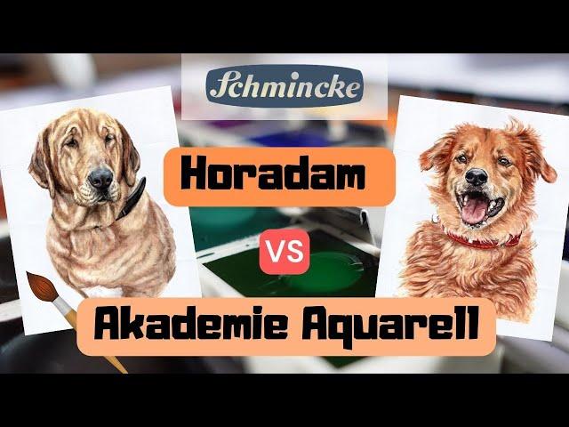Schmincke Horadam Aquarell vs. Schmincke Akademie Aquarell