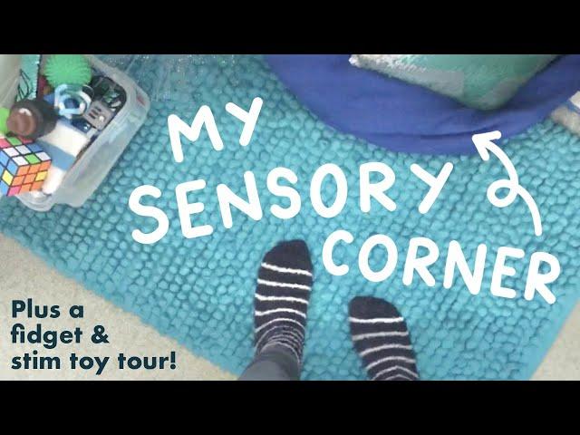 My Sensory Corner and Fidget Toy Tour! | 21andsensory