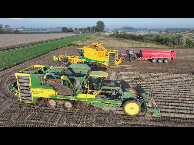 Potato Harvest | 2x Ploeger AR-4BX | Self propelled potato harvesters | Case Optum 340 | De Nood