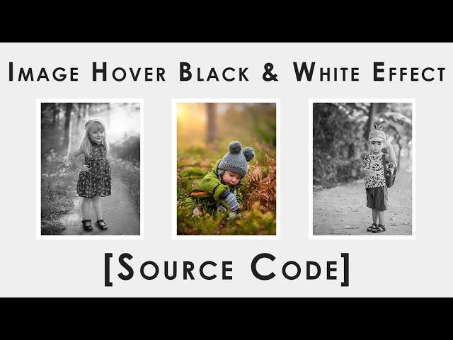 Image Hover Black and White Css Effect | Css Hover Effect | Black and White Css Effect [2020]