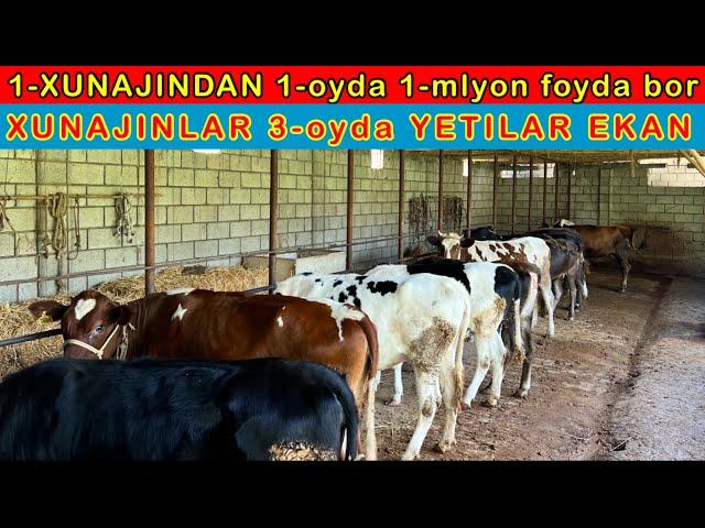 XUNAJIN YEMLAB ZOR FOYDA OLAYOTGAN DEXQON 3-oyda YETILADI