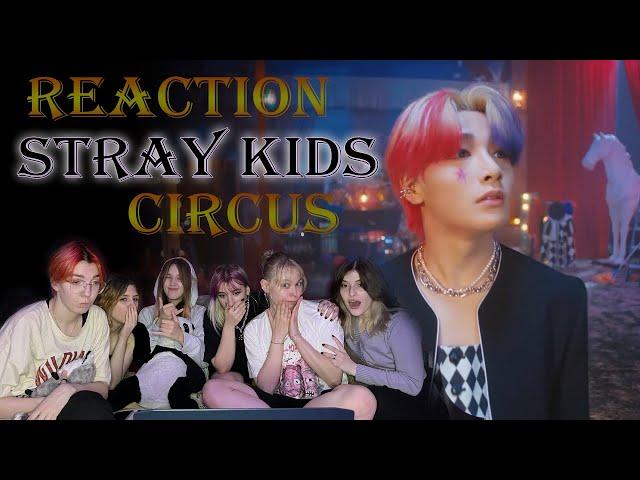 [MV Reaction] Stray Kids 『CIRCUS』 Music Video