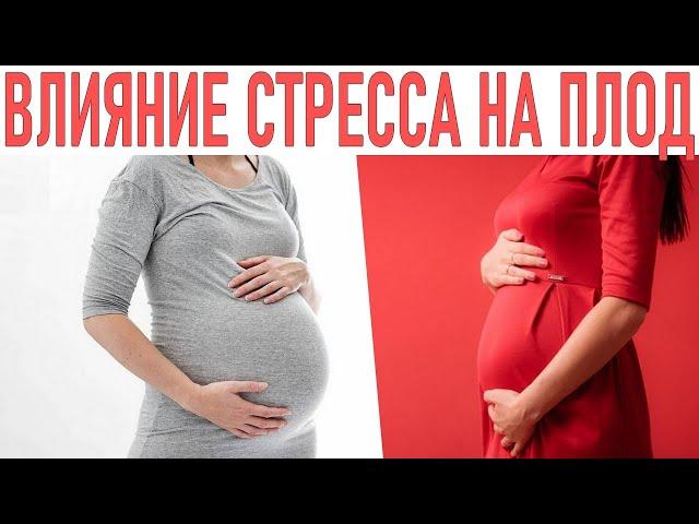 ПАГУБНОЕ ВЛИЯНИЕ СТРЕССА НА ПЛОД. Опасности стресса для беременных