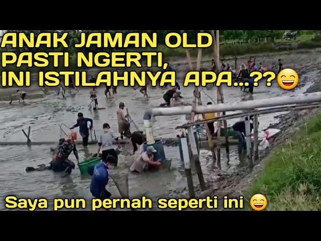 ISTILAH DISAAT PANEN UDANG