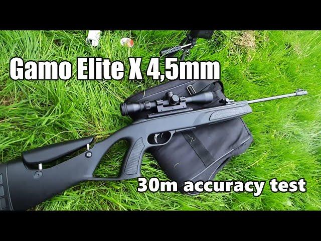 Gamo Elite X 30m Accuracy Test