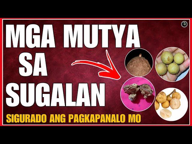 BHES TV; MGA MUTYA SA PARA SA SUGAL NEGOSYO AT PANGKABUHAYAN | MGA URI NG MUTYA SA PILIPINAS