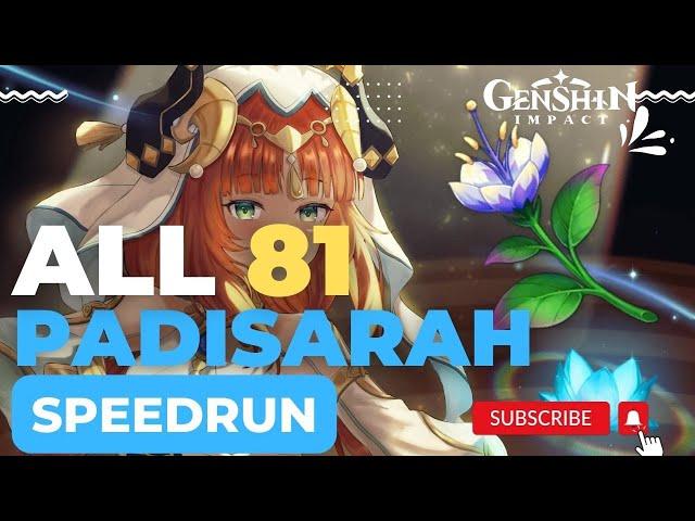 ALL 81 Padisarah Locations EFFICIENT & FAST ROUTE | Nilou Ascension Material | Genshin Impact