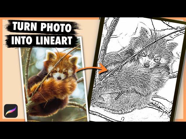 How to Turn Photos into Line Art in Procreate! Quick and Easy!