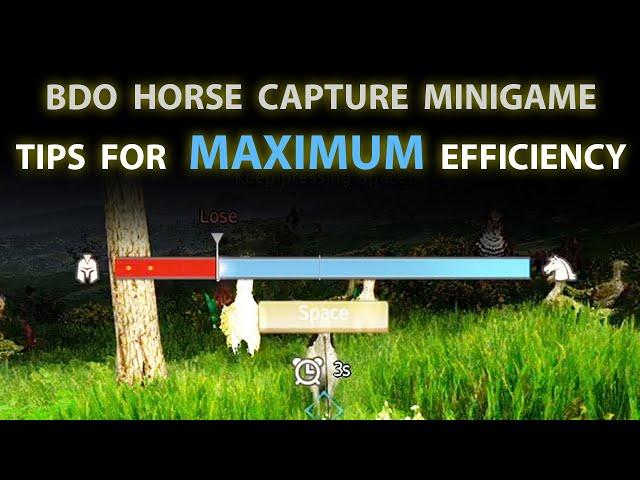 BDO - Horse capturing/training guide - two tips that will change how your capture horses.