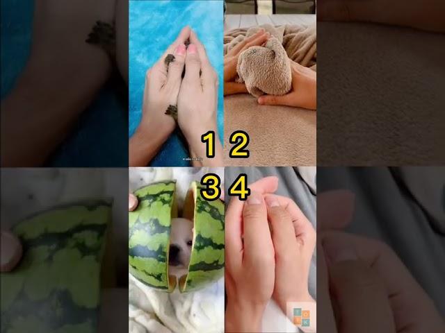 Pick Your Best?  Tiktok Compilation  Pinned your comment #226 #shorts #dance #ytviral #ytshorts