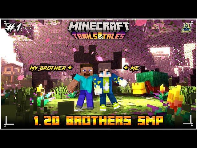 1.20 Lets Play  | BROTHERS SMP | in Telugu | Maddy Telugu Gamer