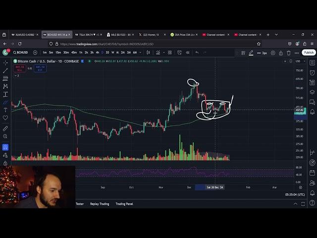 Bitcoin Cash BCH End Of Week Analysis: 1/12/2025