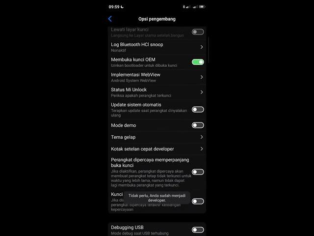 Enable developer mode / opsi pengembang di smartphone Xiaomi