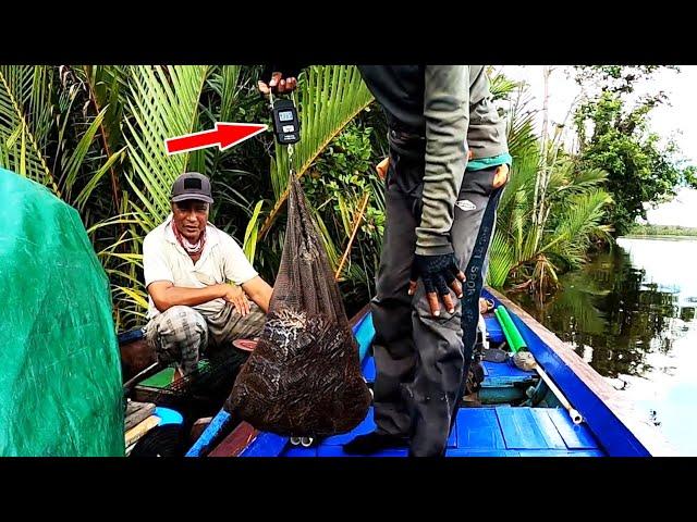 Episode 2 | Rekor terbanyak dapat babon selama mancing udang galah.