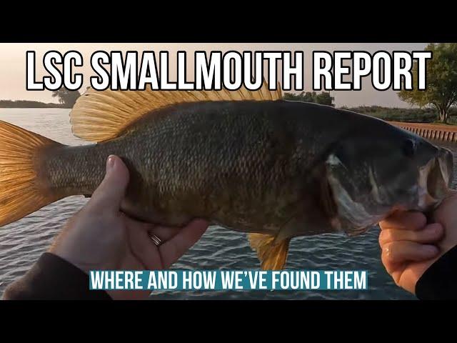 Lake St Clair Smallmouth Bass Fishing Report