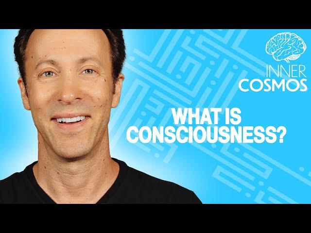 What is Consciousness? | INNER COSMOS WITH DAVID EAGLEMAN