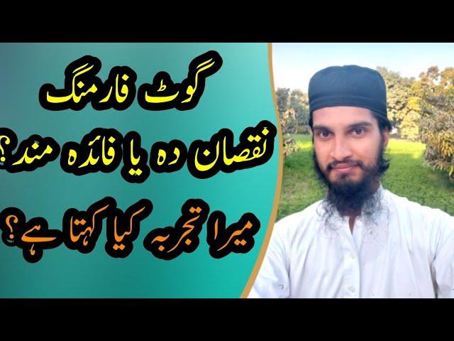 Is Goat Farming PROFITABLE? My 2 Years Experience of Goats Farming at AQ Goat Farm Explained in Urdu