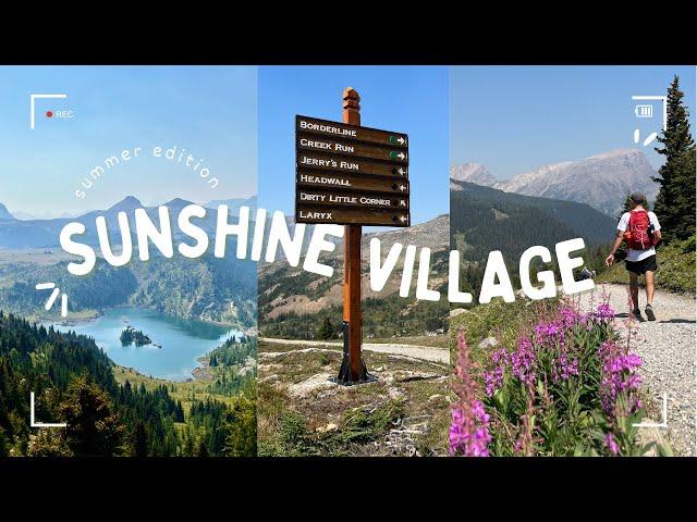 Sunshine Village in Summer // Let's visit the must-see Sunshine Meadows in Banff National Park 