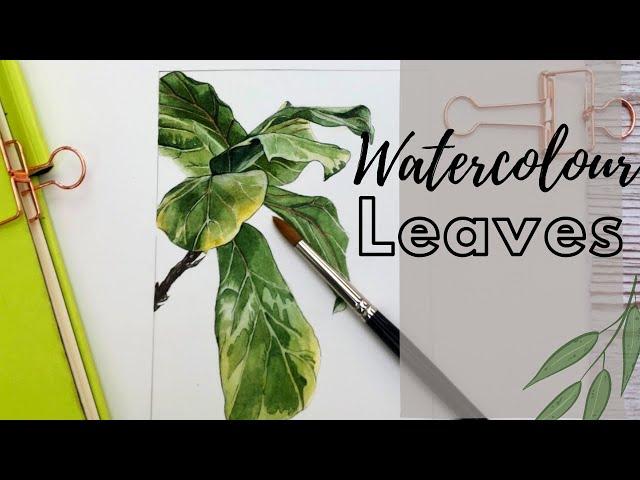 BOTANICAL PAINTING - botanical watercolor made easy