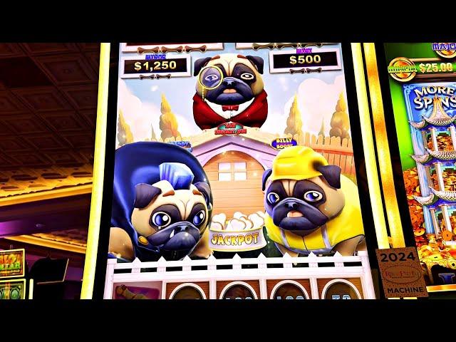 DOGS IN THE CASINO!!!!!!!!!!!!