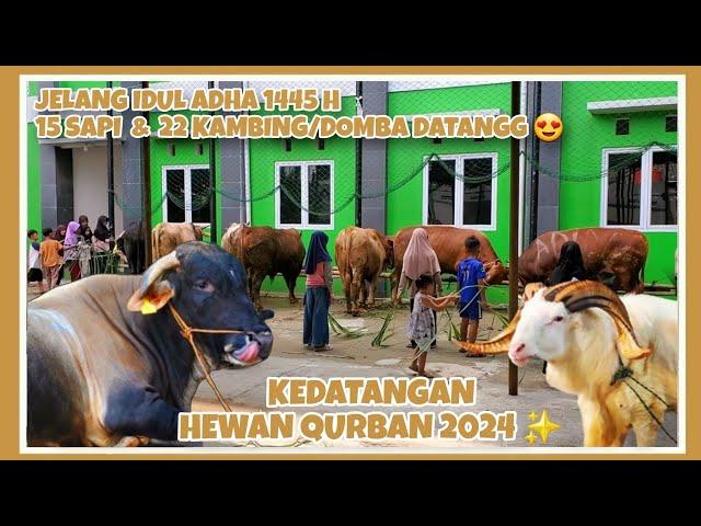 KEDATANGAN HEWAN QURBAN 2024 MASJID AL FURQON CIBINONG JELANG IDUL ADHA 1445 H ️