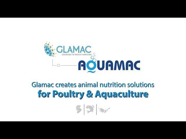 Glamac Aqua