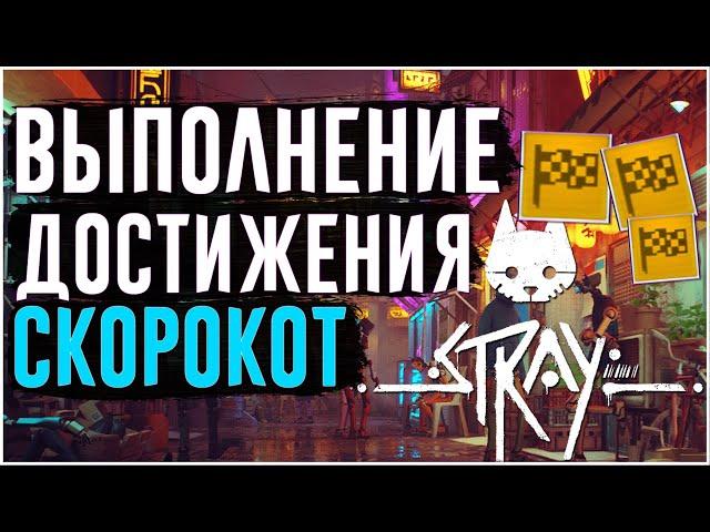 Stray | Достижение Скорокот | Как пройти Stray за 2 часа | Speedrun Stray