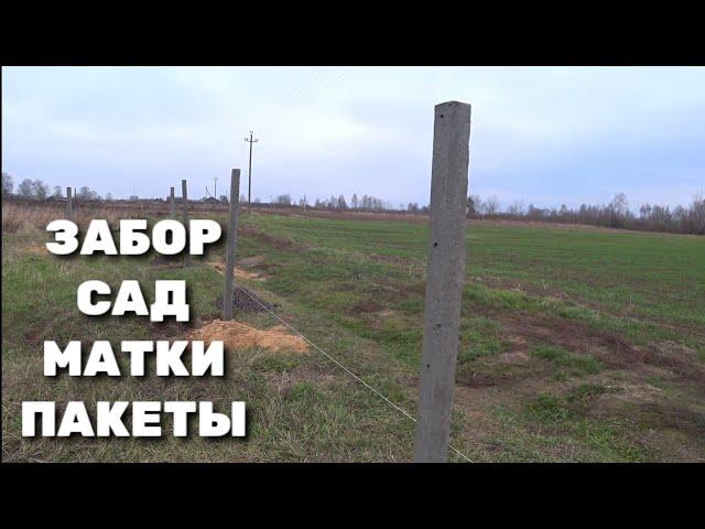 Ограждение сада. Обработка пчёл. Заказ пакетов. Отказ от матководства.