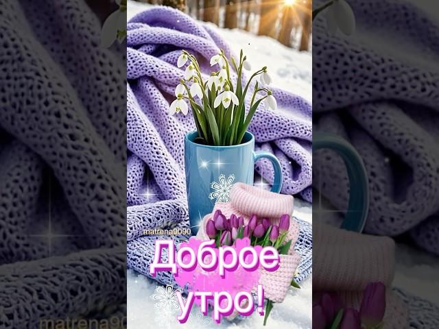 Доброе утро и хорошего дня #доброеутро #хорошегодня #успехов #открытки