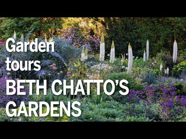 Tour Beth Chatto's Gardens through the seasons