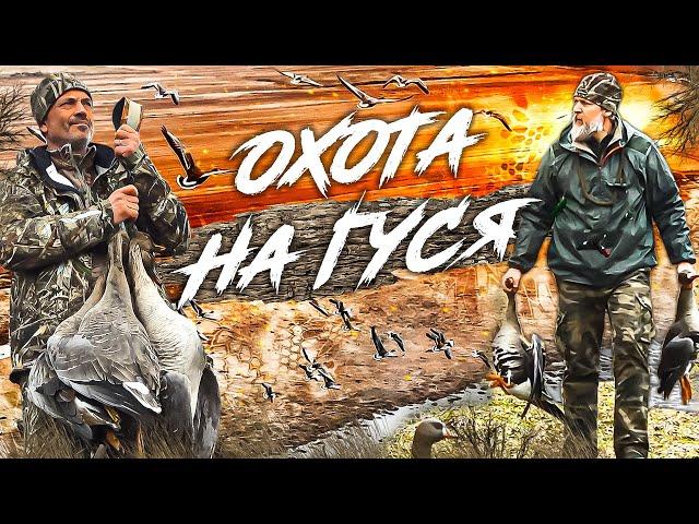 Охота на гуся. С чем мы столкнулись....?